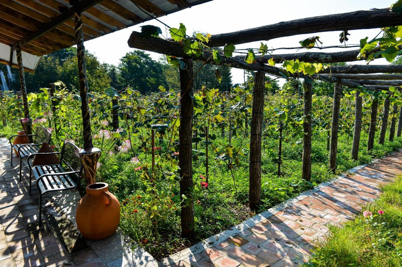 Chateau Chikovani Hotel Gordi Luaran gambar