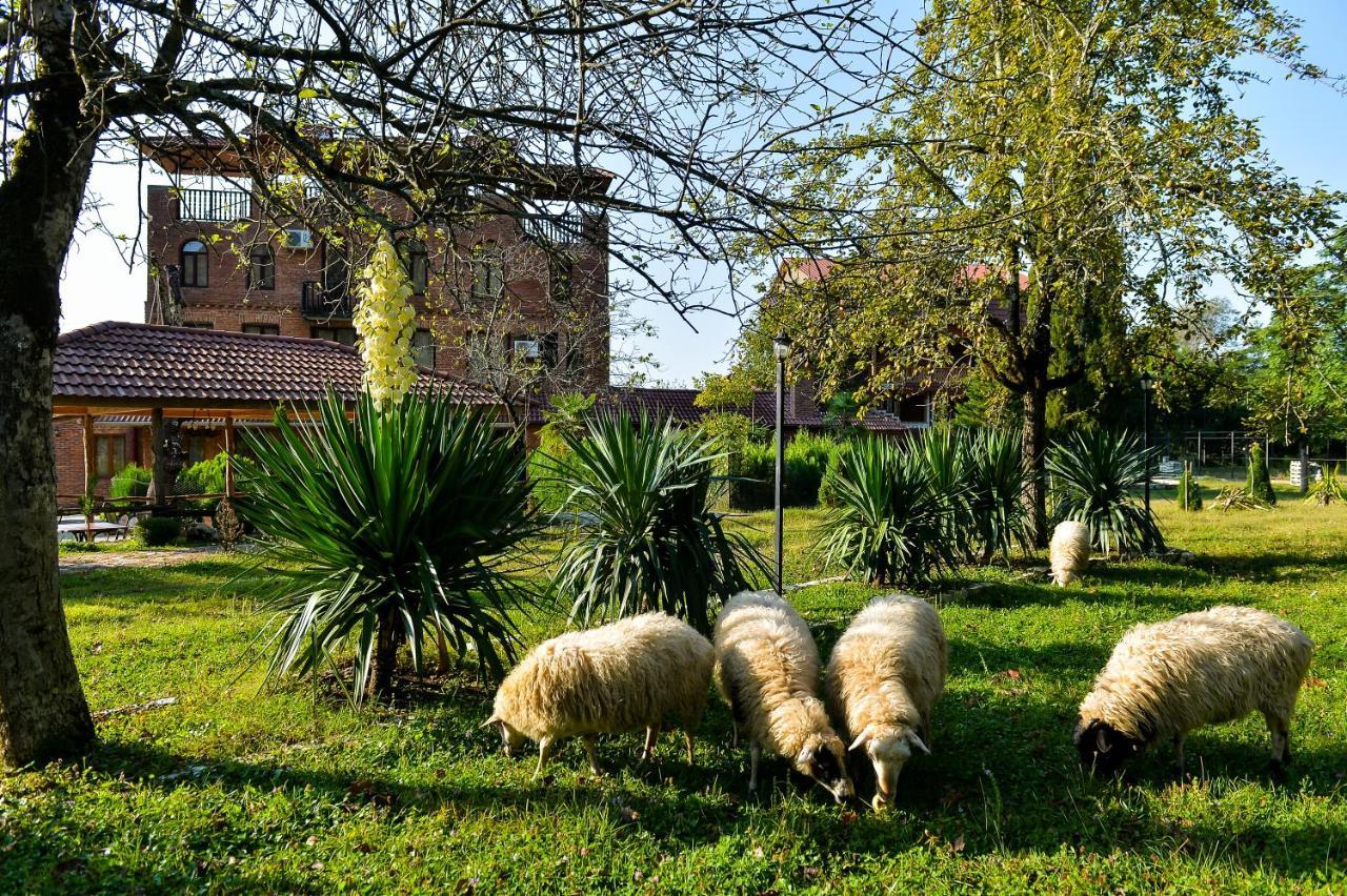 Chateau Chikovani Hotel Gordi Luaran gambar