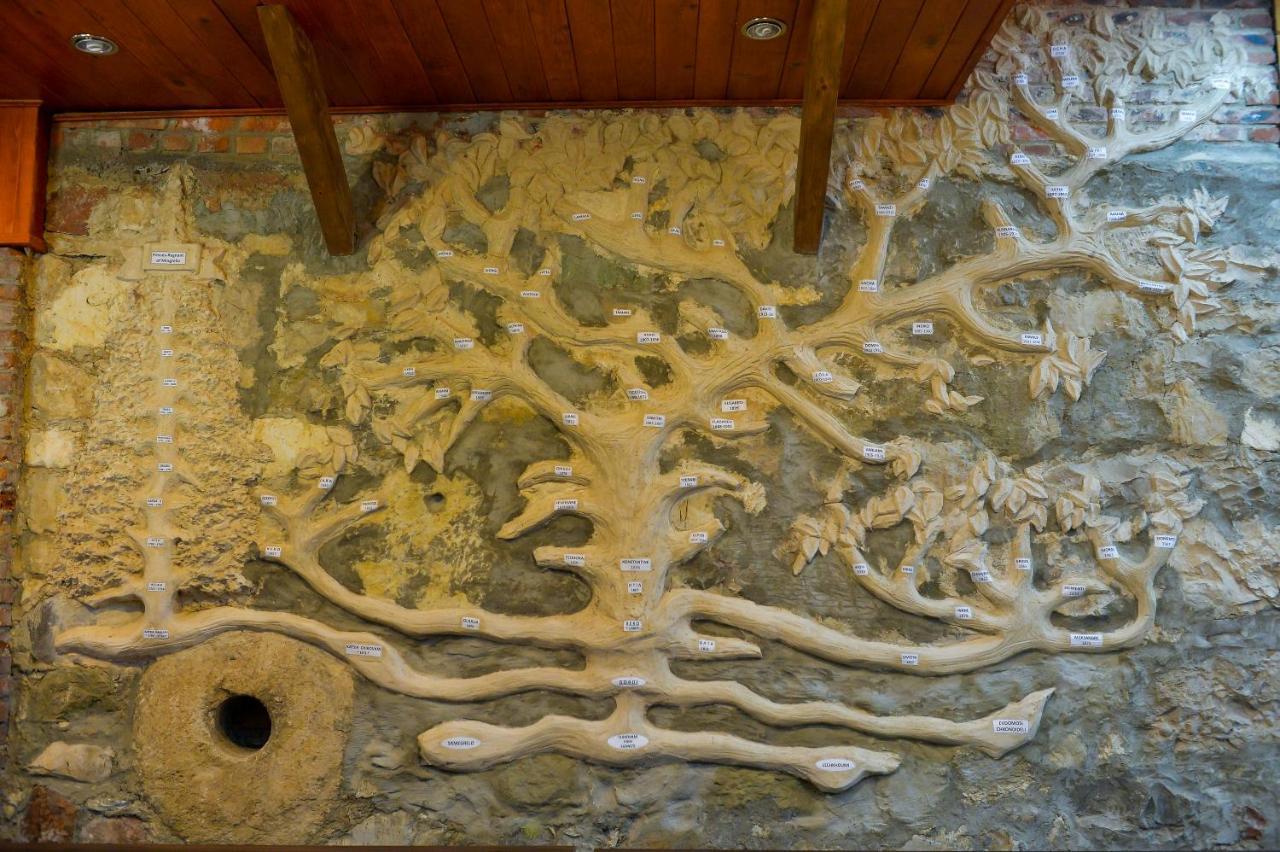 Chateau Chikovani Hotel Gordi Luaran gambar