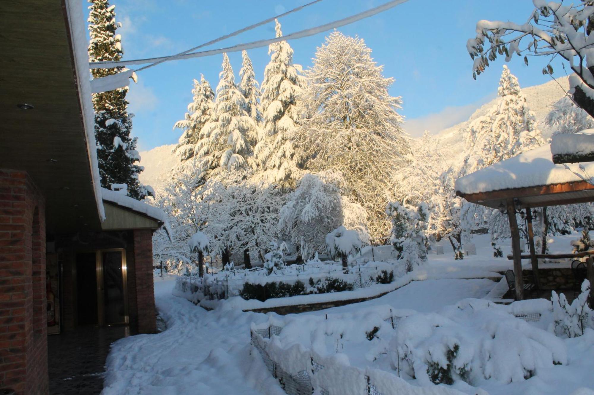 Chateau Chikovani Hotel Gordi Luaran gambar