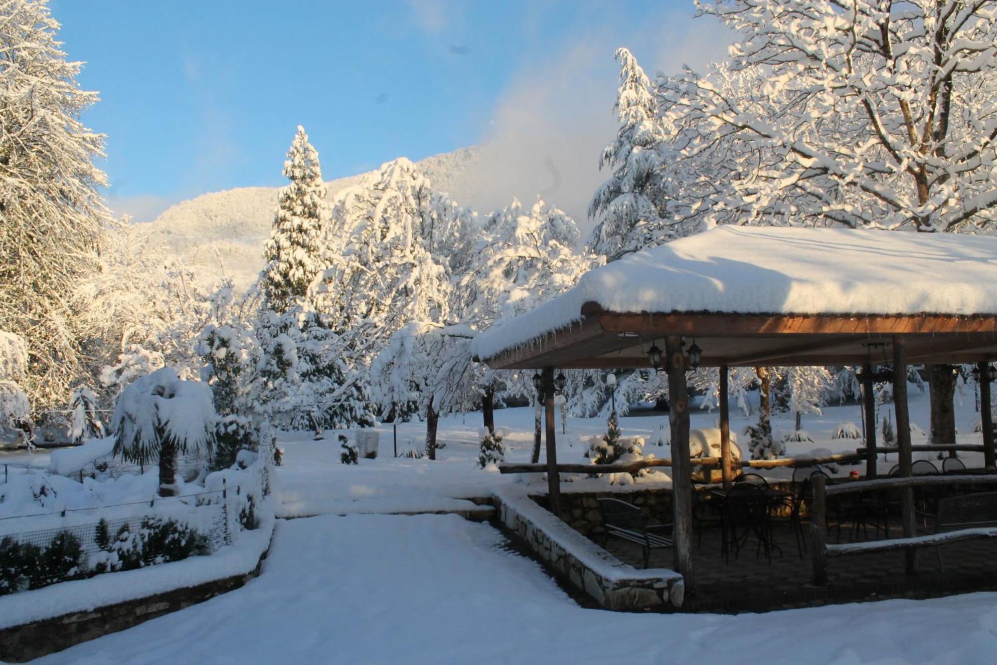 Chateau Chikovani Hotel Gordi Luaran gambar