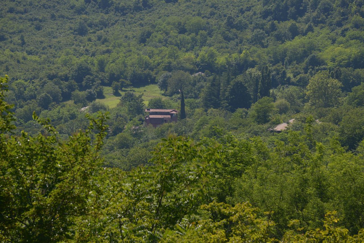 Chateau Chikovani Hotel Gordi Luaran gambar