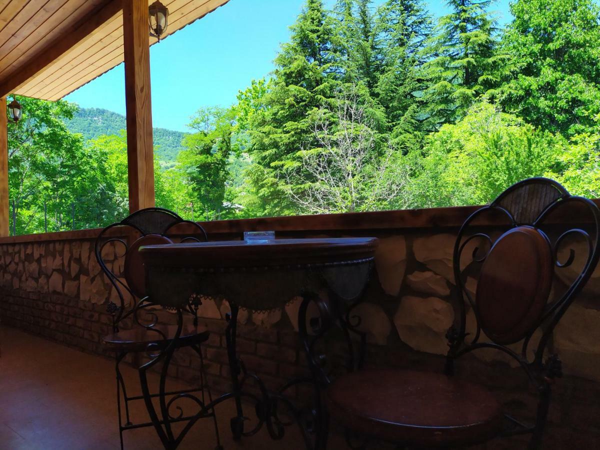 Chateau Chikovani Hotel Gordi Luaran gambar